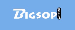 bigsop coupon codes